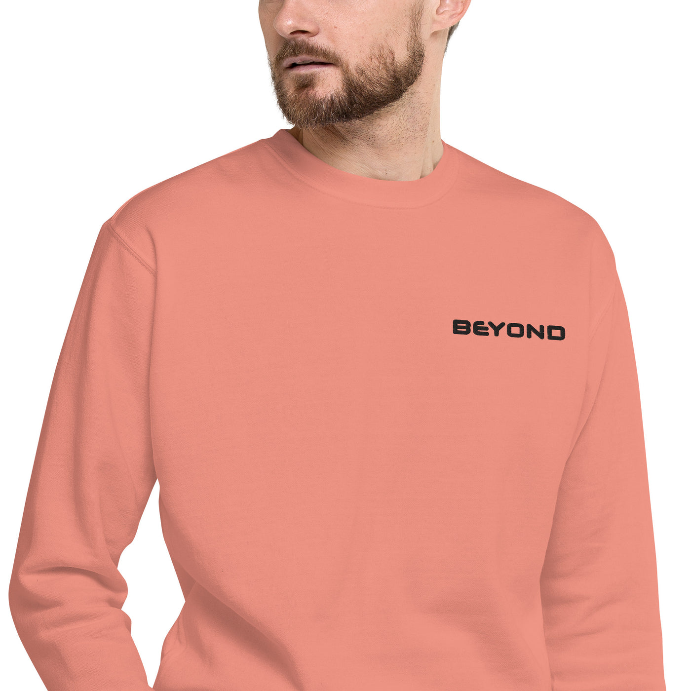 Unisex Premium Embroidered Beyond Sweatshirt